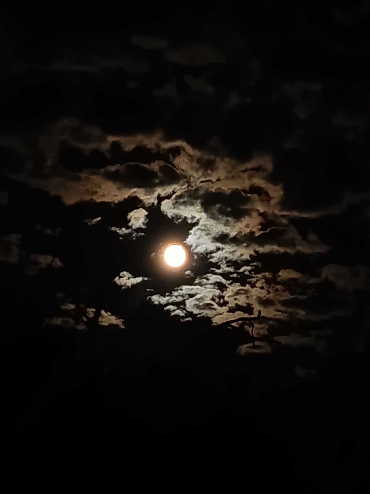 WhatsApp Image 2026-03-30 at 16.45.43