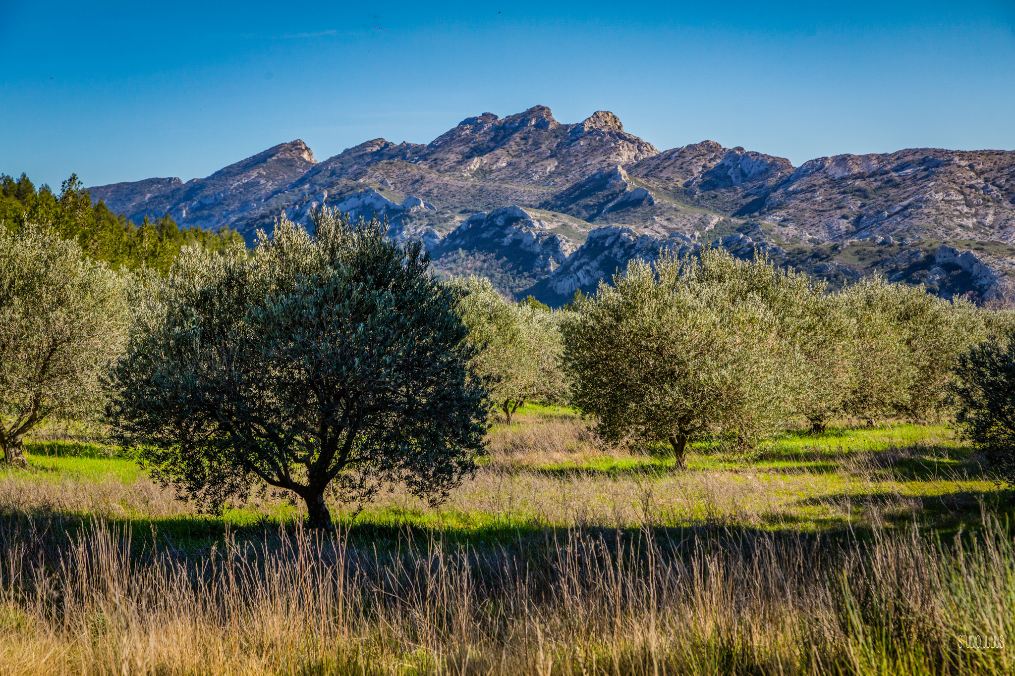 tourstudio-julius-ff2a9359-col